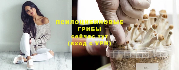 эйфоретик Бородино