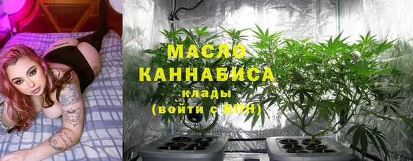 эйфоретик Бородино