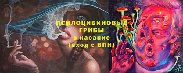эйфоретик Бородино