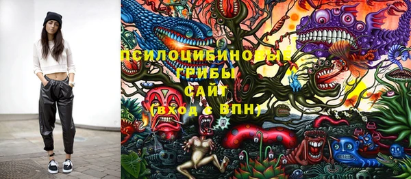 эйфоретик Бородино