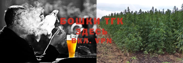 эйфоретик Бородино